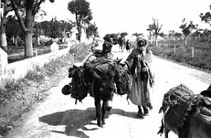 Images d'Algerie 275
